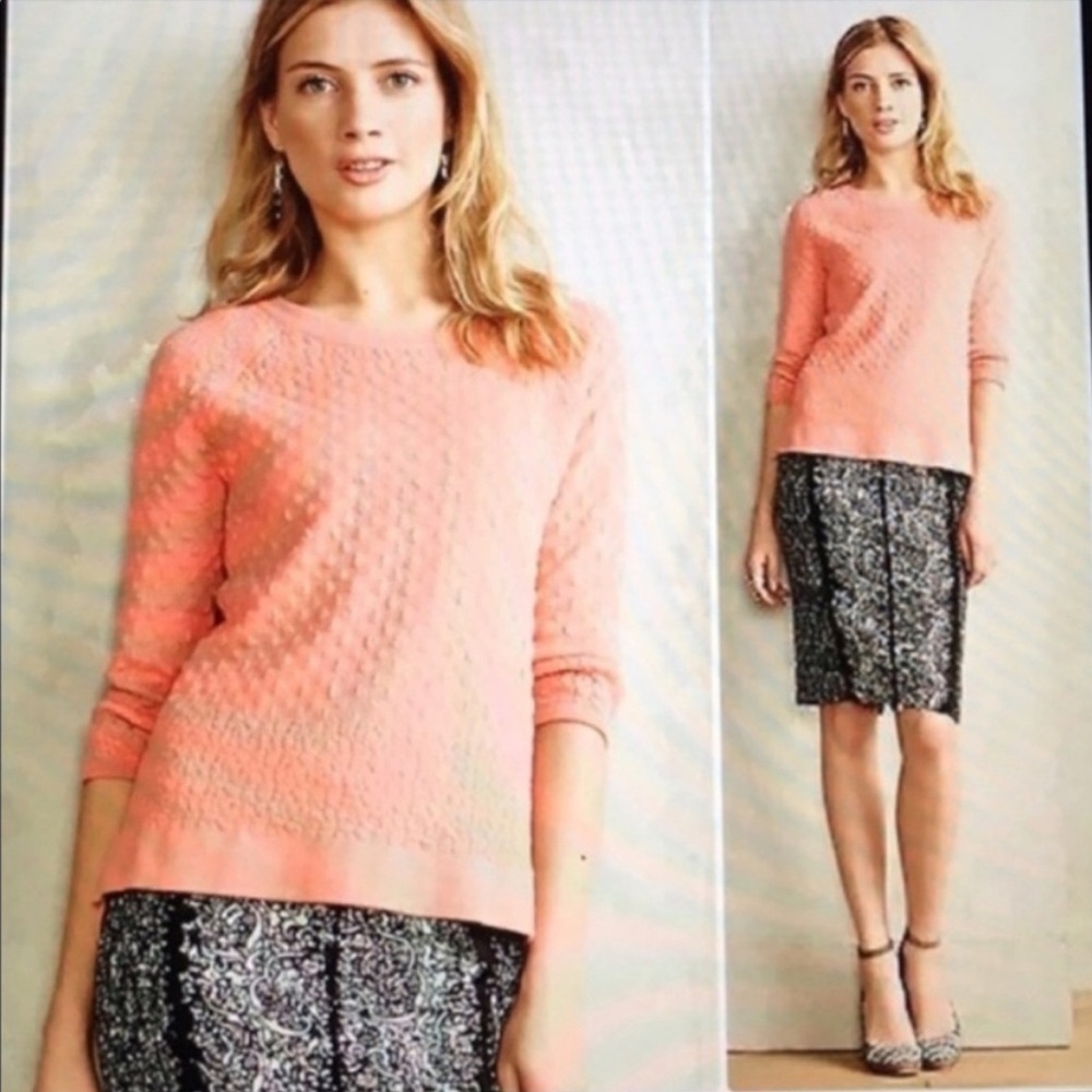 VTG Anthropologie Field Flower Coral Textured Sweater Heritage Cottage Size S